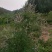 土蜂蜜5斤装