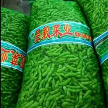 山东省郯城县，翠绿宝，开心绿，绿宝石毛豆，个个饱满
