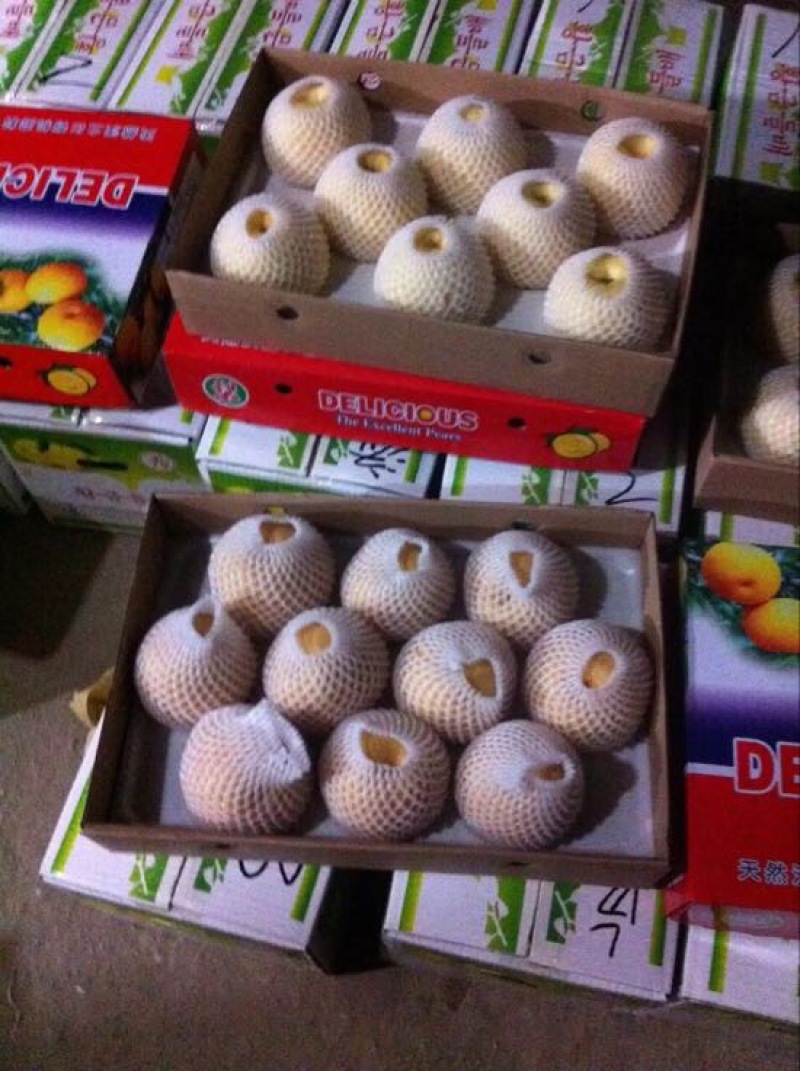 黄金梨