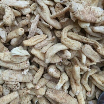 乌红天麻一级
