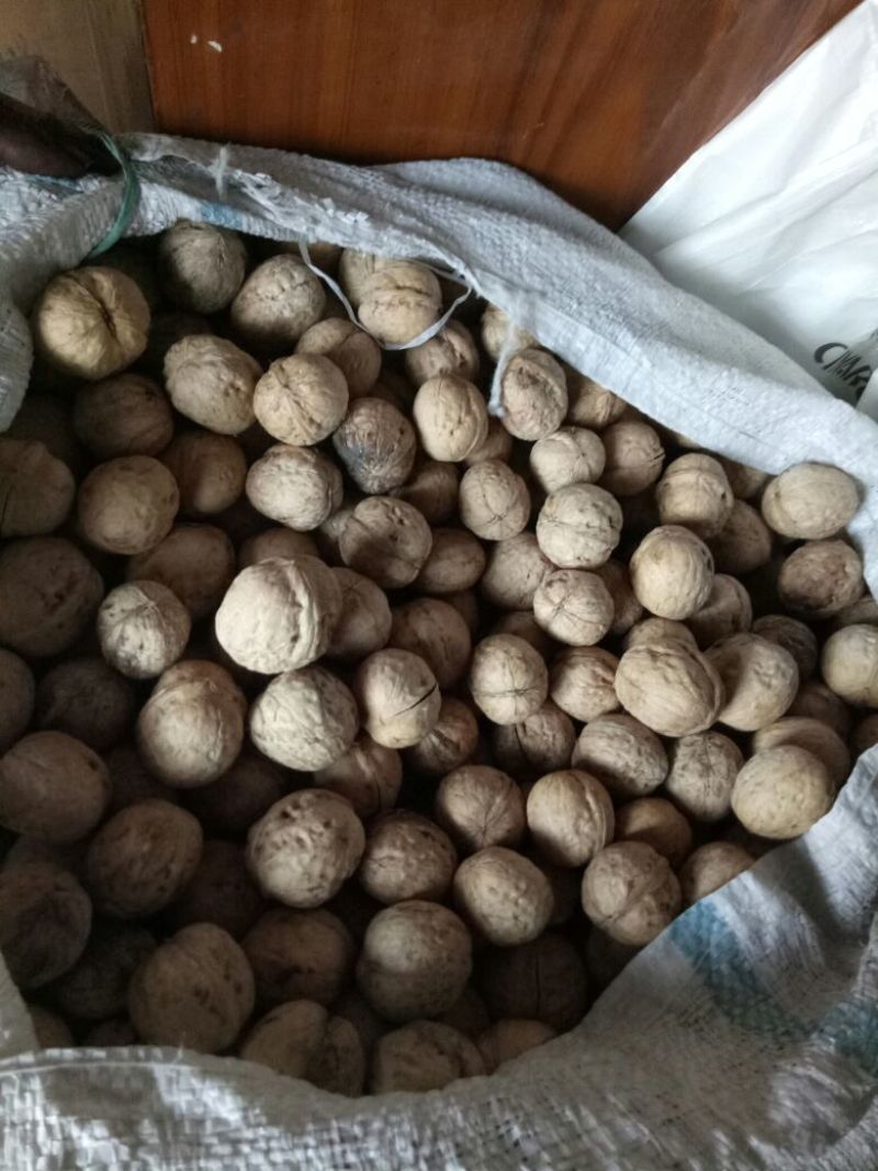 薄皮核桃去皮