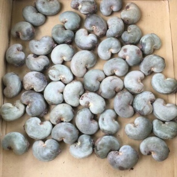 腰果