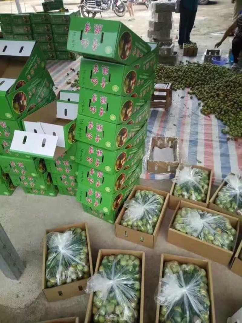 半边红李子