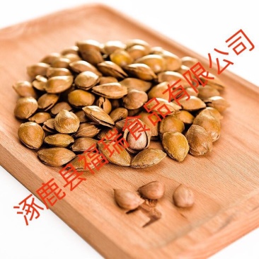 杏仁。开口杏核中龙