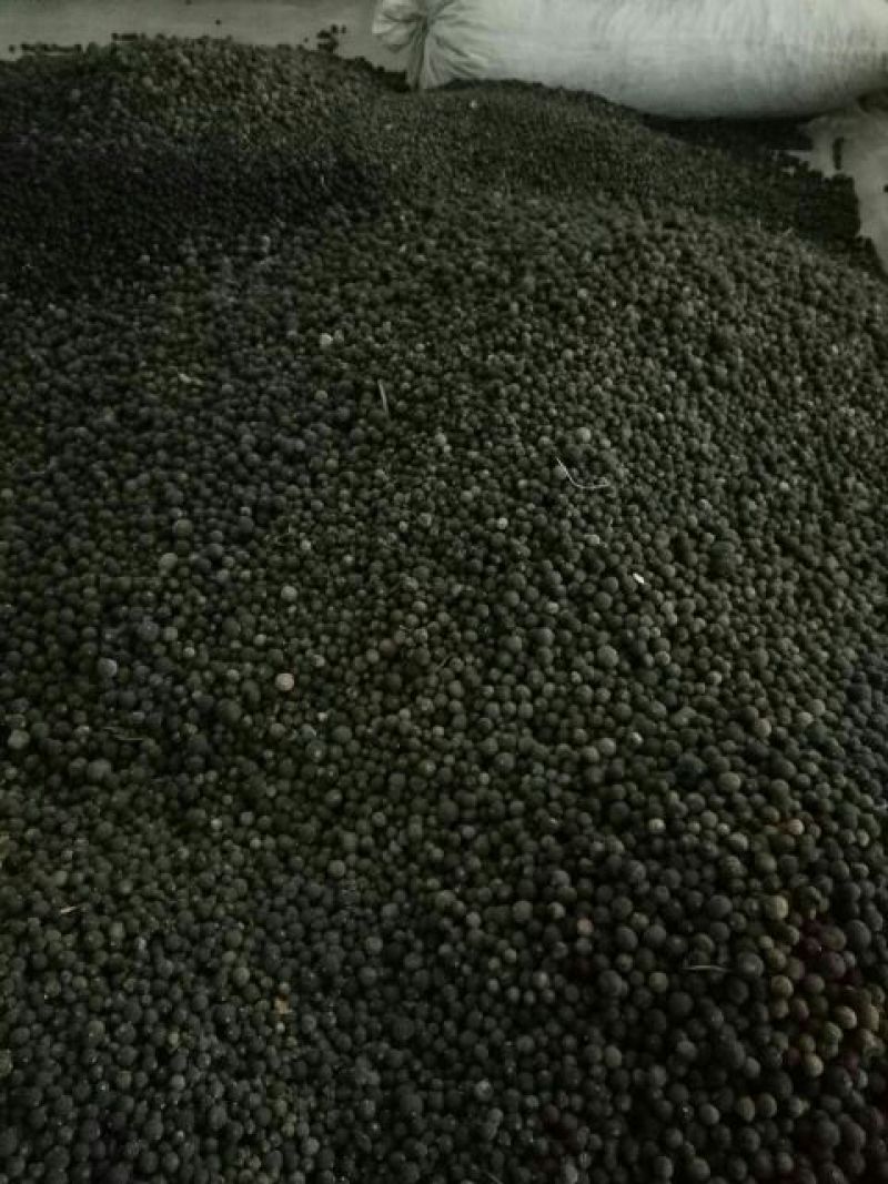 枳实统个