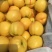 7月1号精品黄油桃产地直销质量保证承接商超全国