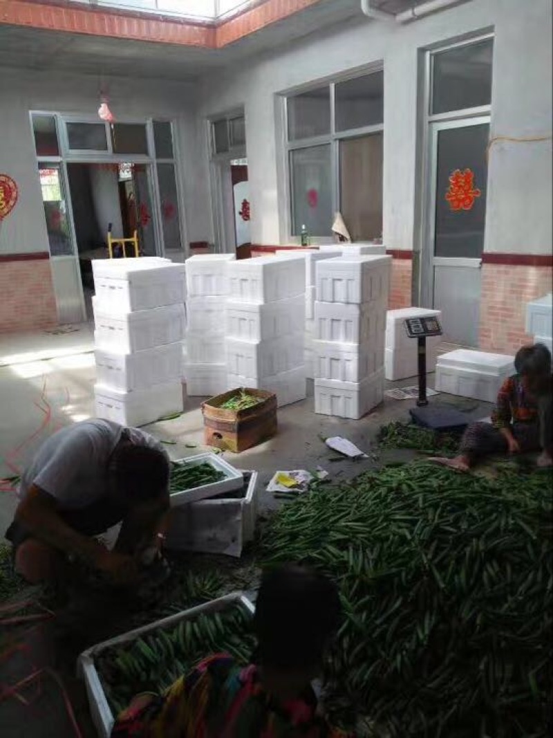 黄秋葵莱西水果鲜秋葵