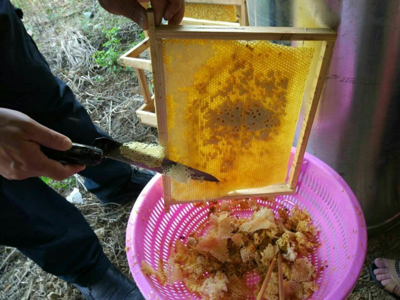 蜂蜜天然蜂蜜，柚子花，百香果花
