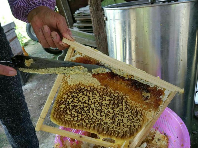 蜂蜜天然蜂蜜，柚子花，百香果花