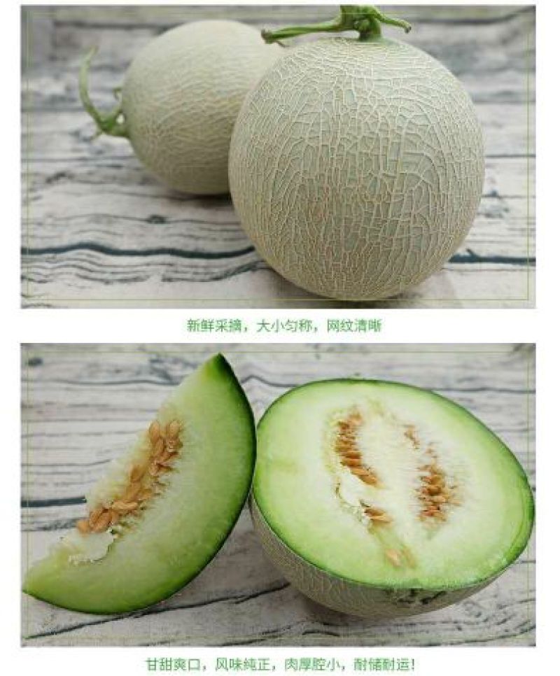 网纹瓜2斤以上椭圆形