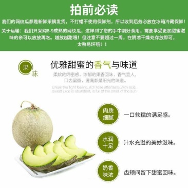 网纹瓜2斤以上椭圆形