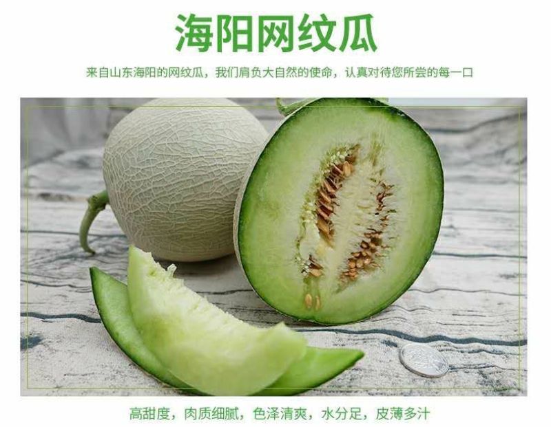 网纹瓜2斤以上椭圆形