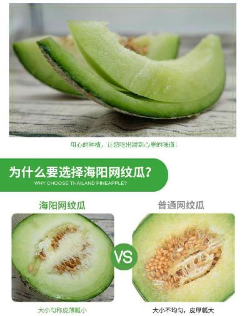 网纹瓜2斤以上椭圆形
