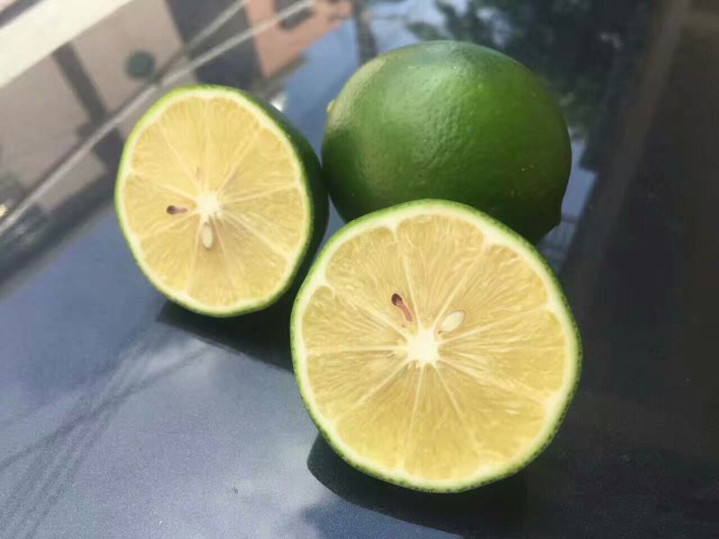 柠檬2~2.6两