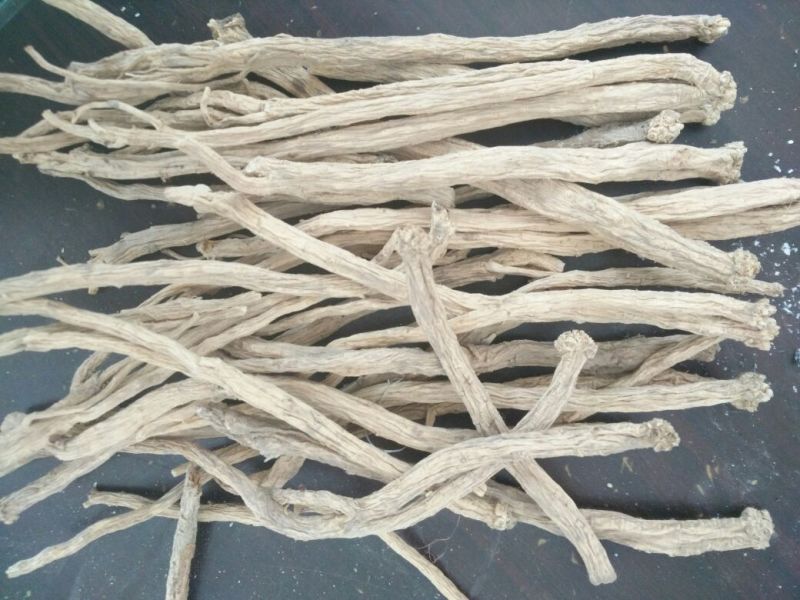 白条党参干货中条