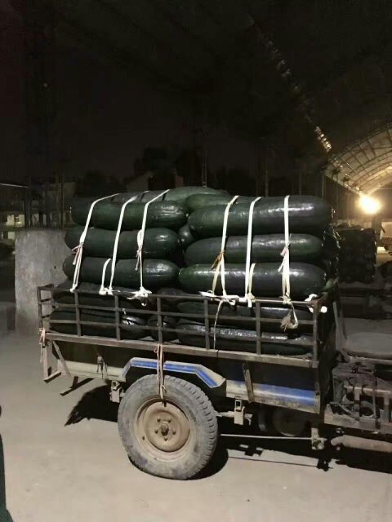 黑皮冬瓜30斤以上地冬瓜，基地直供无中间差价，