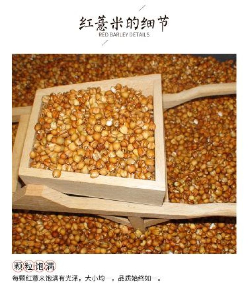 红薏米包装