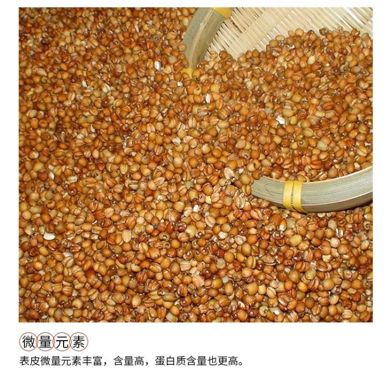 红薏米包装
