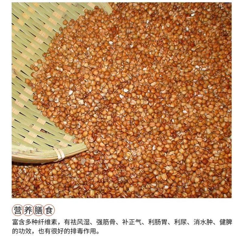 红薏米包装