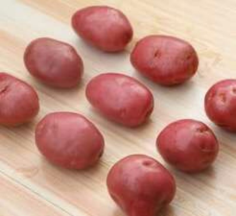 红皮土豆精品4两以上