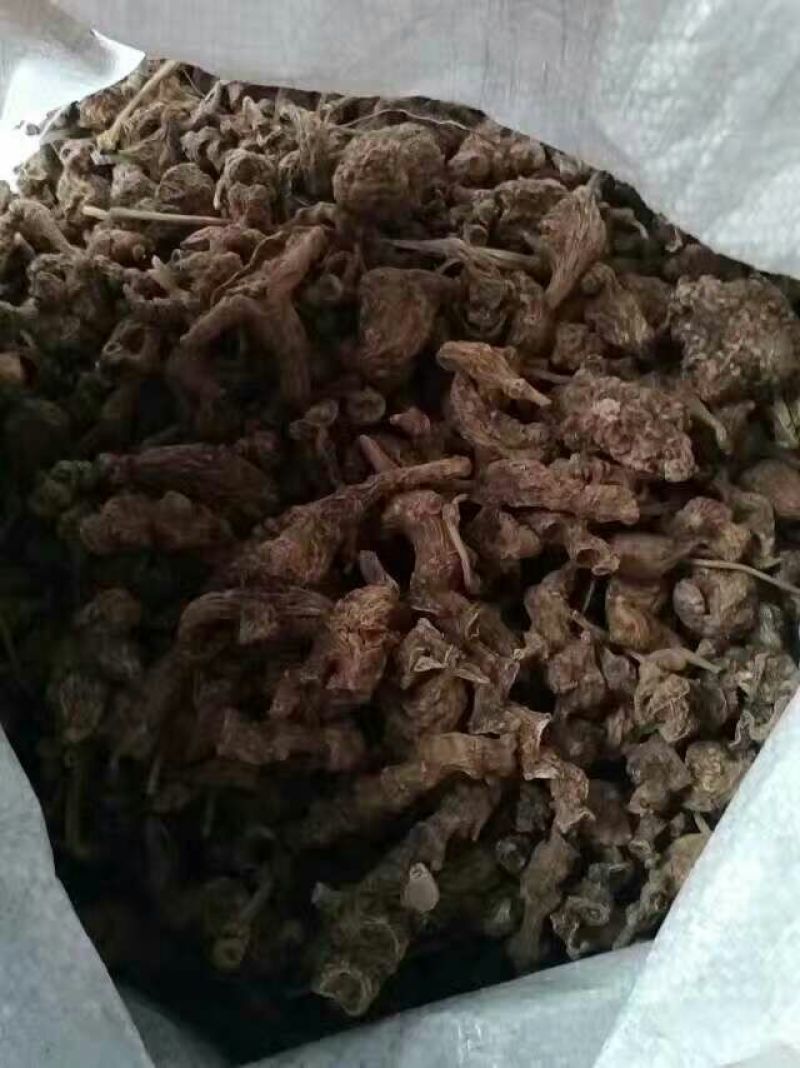 三七根茎统货无数头