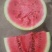 美都西瓜8斤打底8成熟