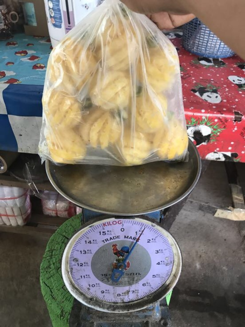 泰国小菠萝1~1.5斤
