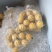 泰国小菠萝1~1.5斤