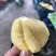 泰国小菠萝1~1.5斤