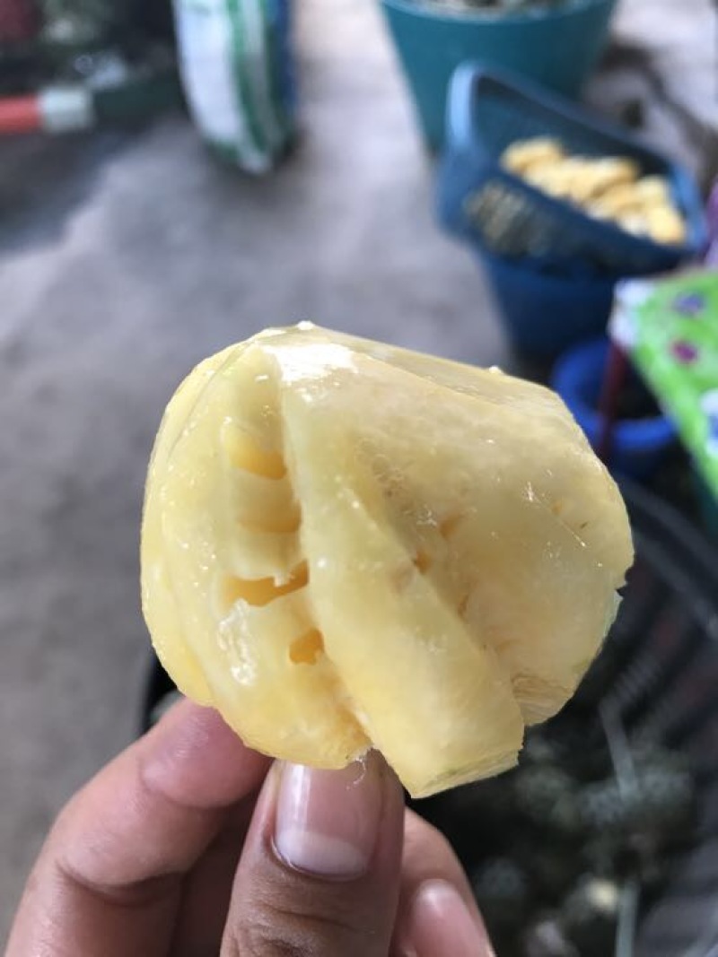 泰国小菠萝1~1.5斤