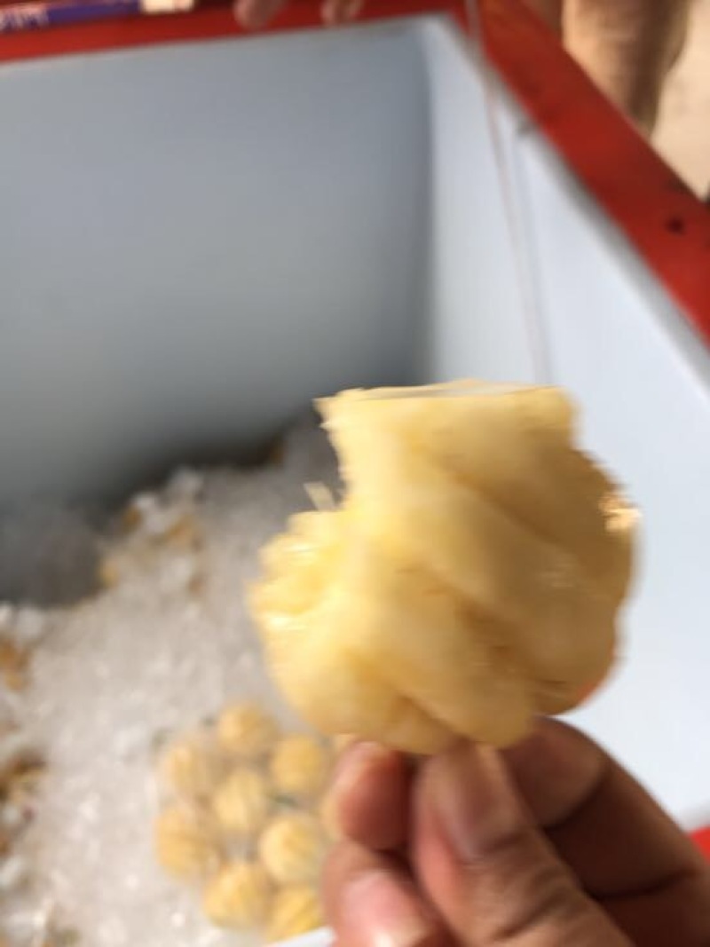 泰国小菠萝1~1.5斤