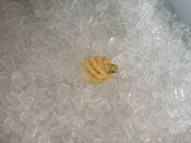 泰国小菠萝1~1.5斤