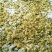金银花色白花全花蕾