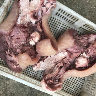 刀削牛头可各种加工诚信经营欢迎骚扰