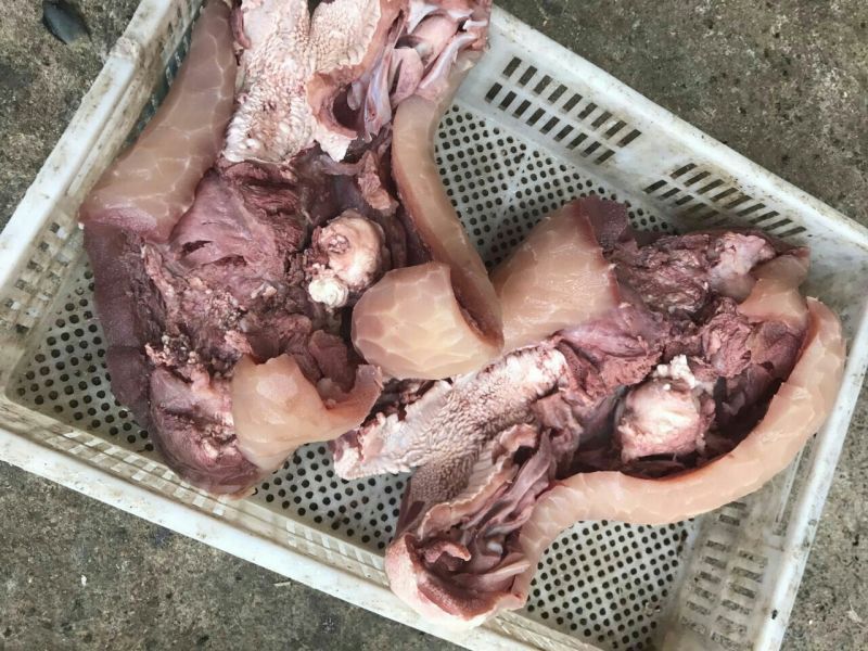 刀削牛头可各种加工诚信经营欢迎骚扰