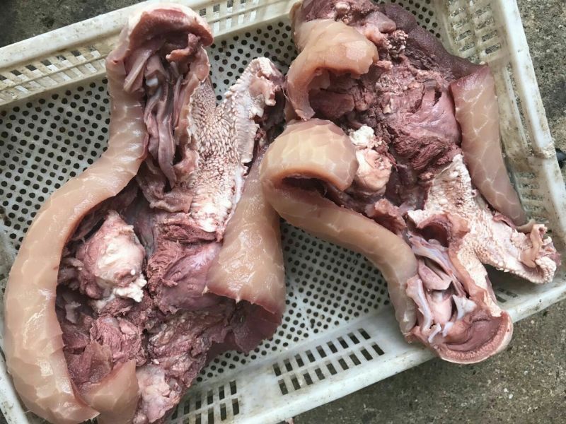 刀削牛头可各种加工诚信经营欢迎骚扰