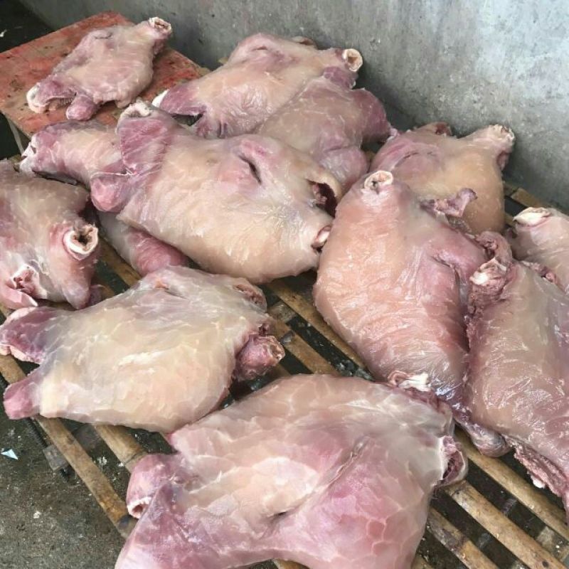 刀削牛头可各种加工诚信经营欢迎骚扰