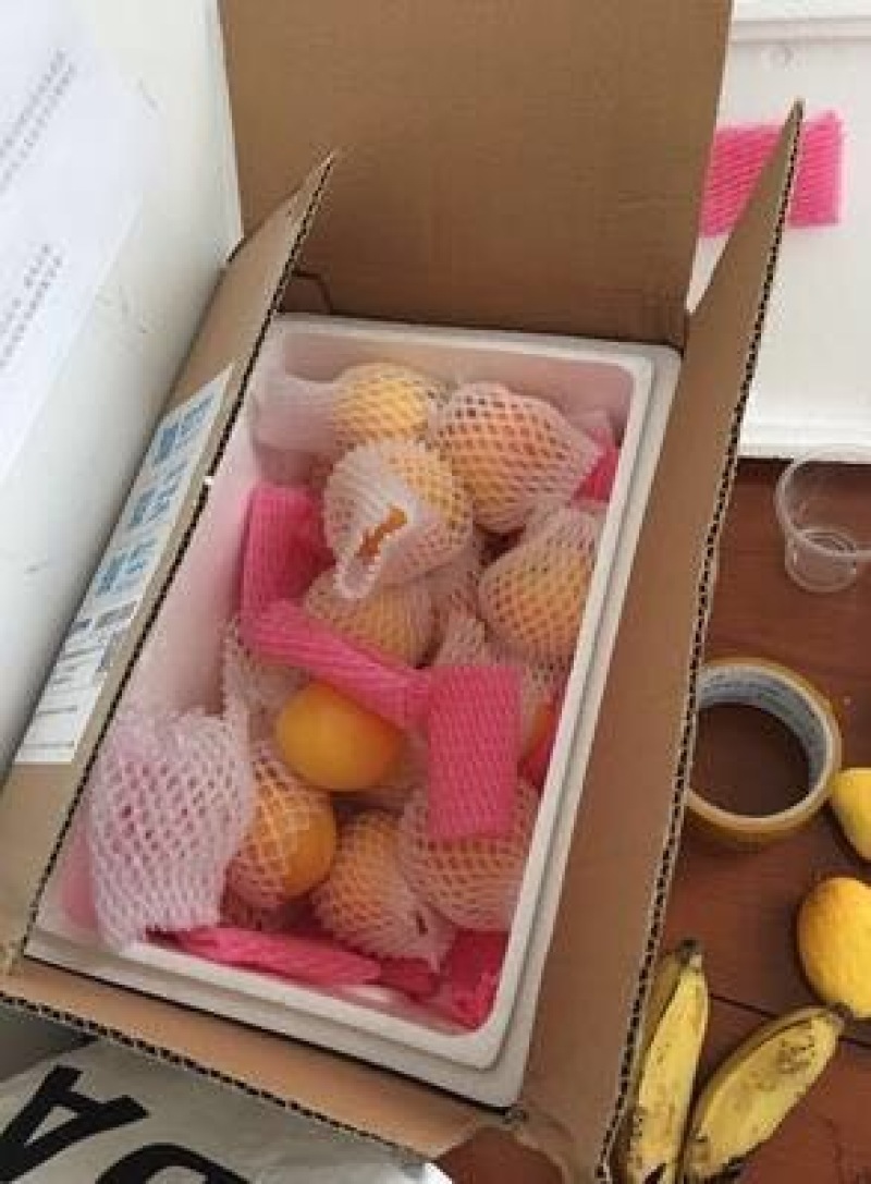 毛桃