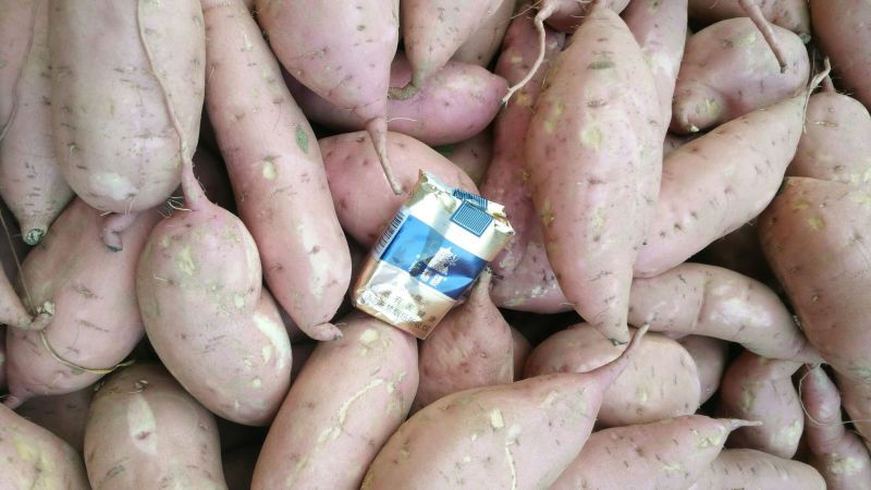 西瓜红蜜薯3两以上质量保障专业代收货源充足