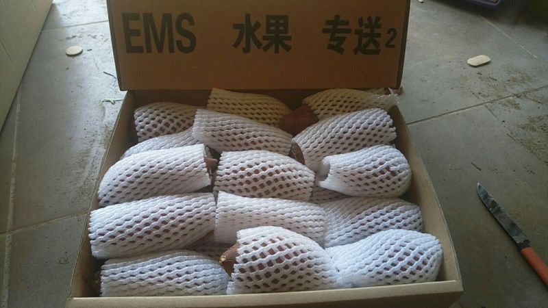 桥头地瓜黄心2两以上