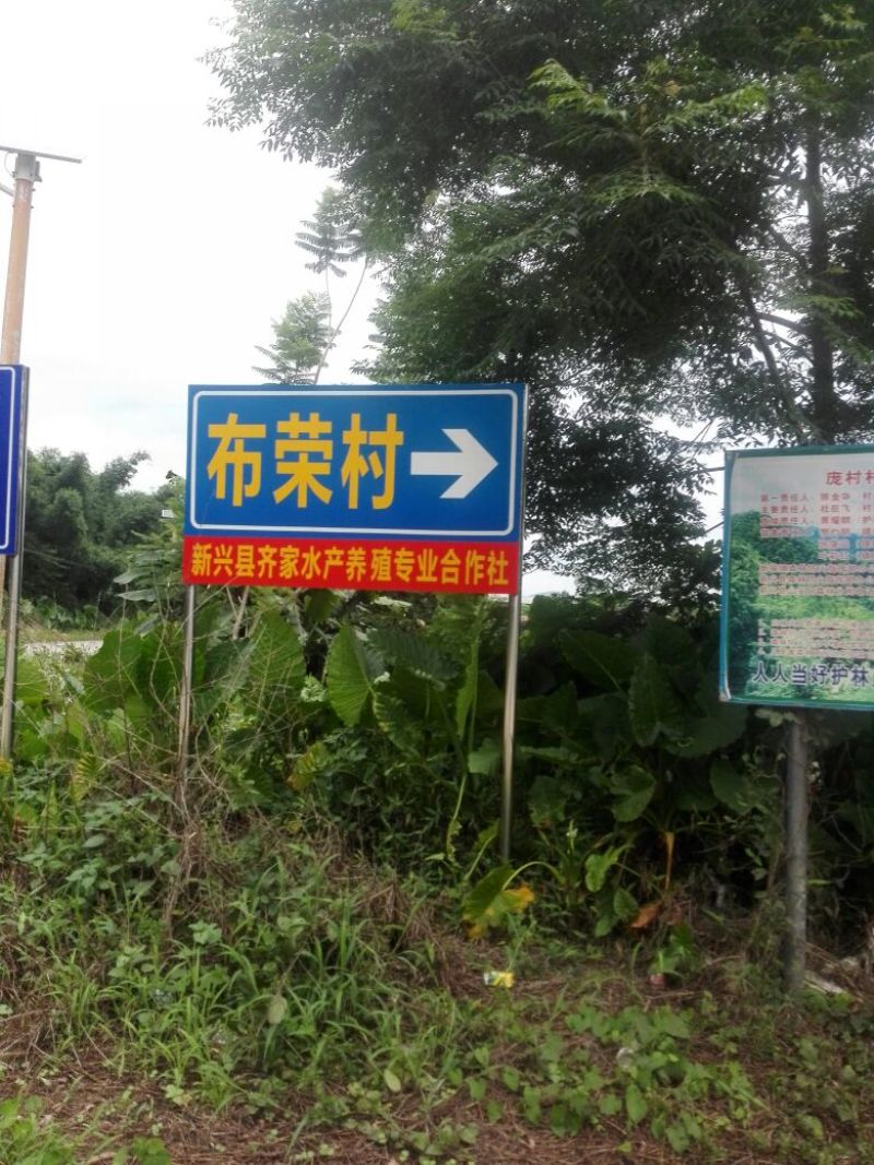 乌鳢1斤以下