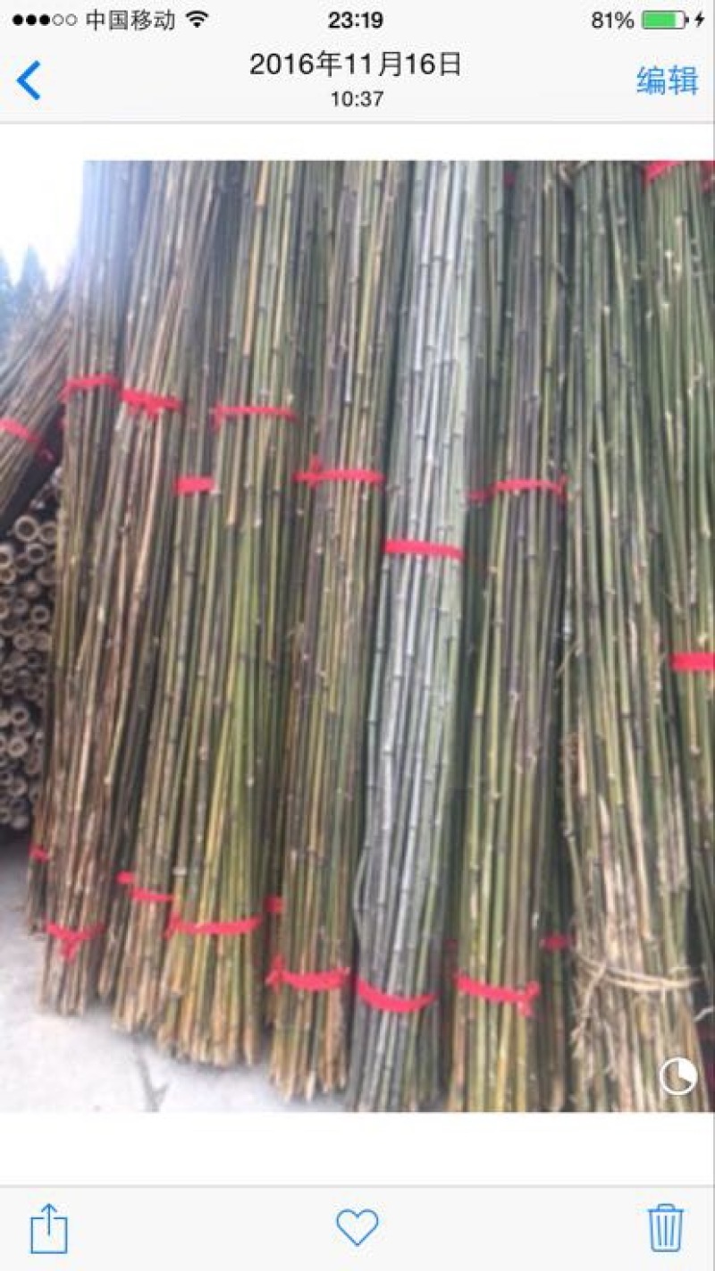 产地批发长竹竿山药种植杆火龙果支撑杆毛竹大棚立柱