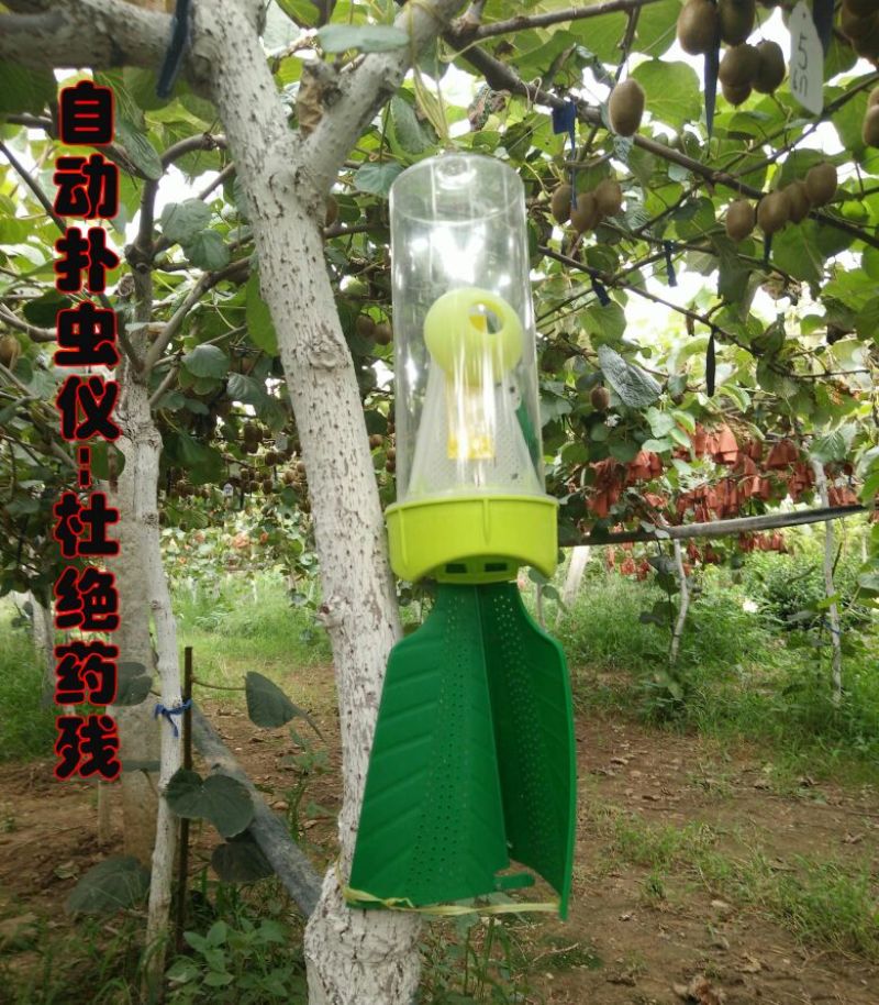 徐香猕猴桃
