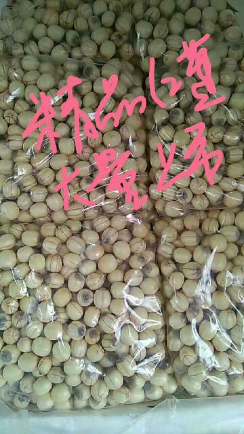 红莲子特级鲜莲子
