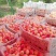 毛桃75mm以上