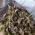 榕树叶产地一手加工供应商