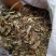 榕树叶产地一手加工供应商