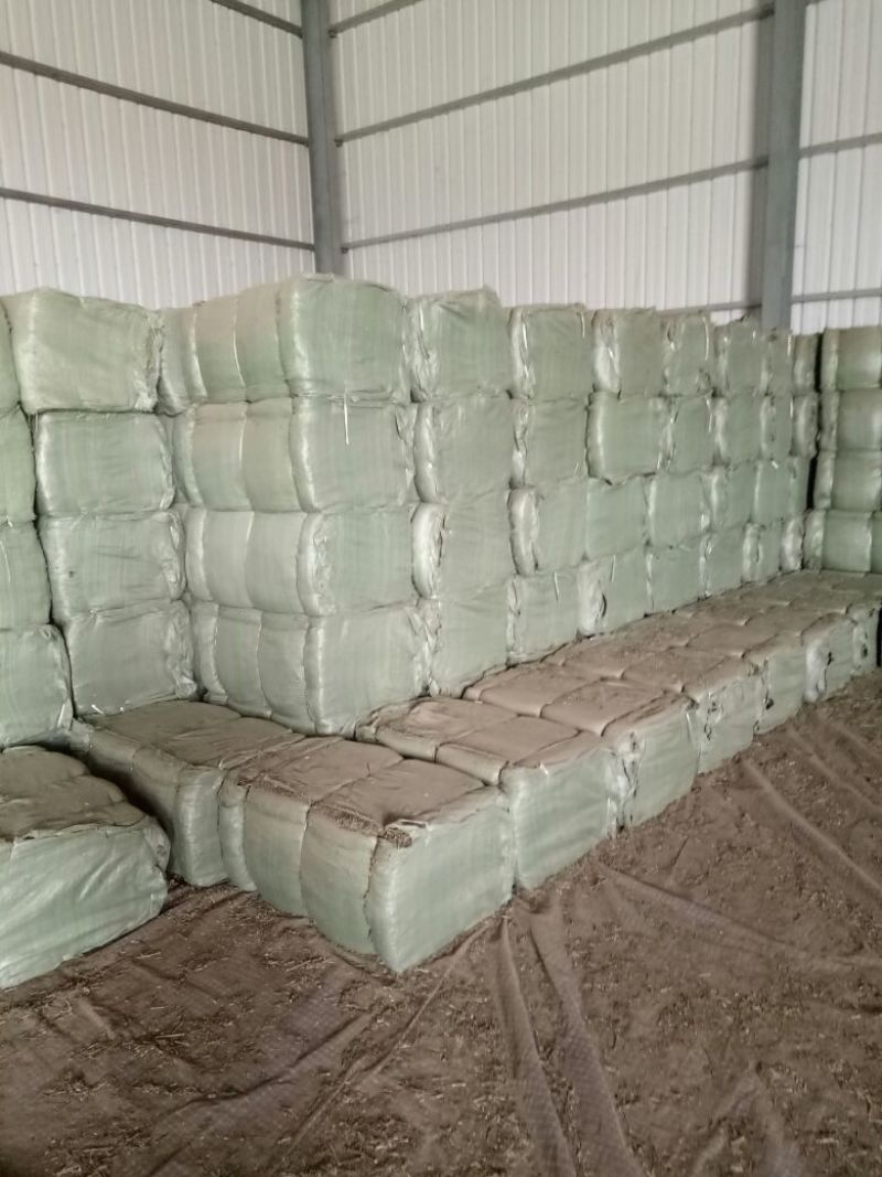 榕树叶产地一手加工供应商
