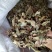 榕树叶产地一手加工供应商