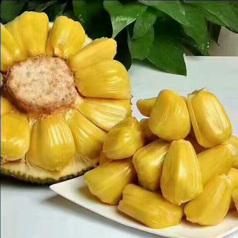 菠萝蜜15~20公斤